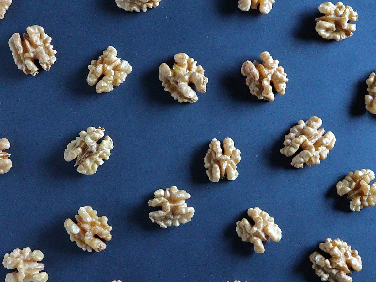 Walnoten op donkere achtergrond – symbolische verwijzing naar het menselijk brein